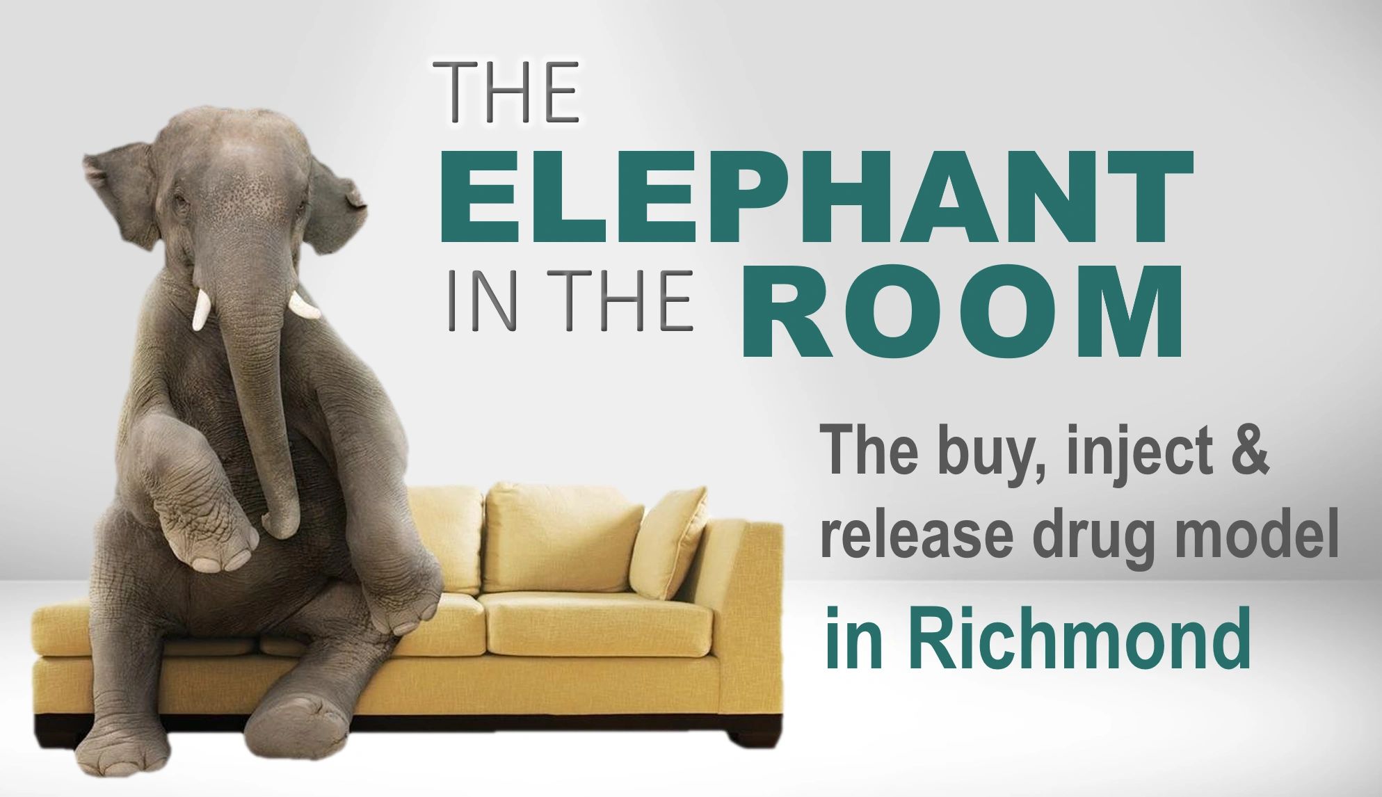 THE ELEPHANT IN THE ROOM